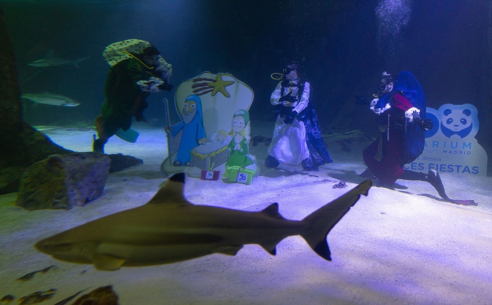 Ya es Navidad en el Zoo de Madrid