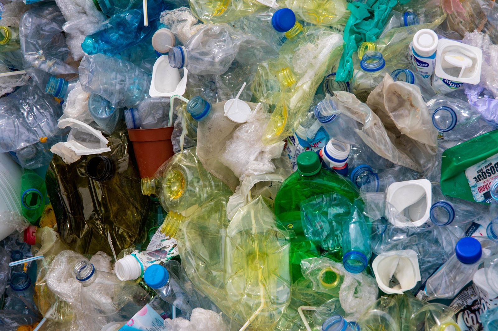 ¿Cuál es la multa por tirar basura a la calle en Madrid?