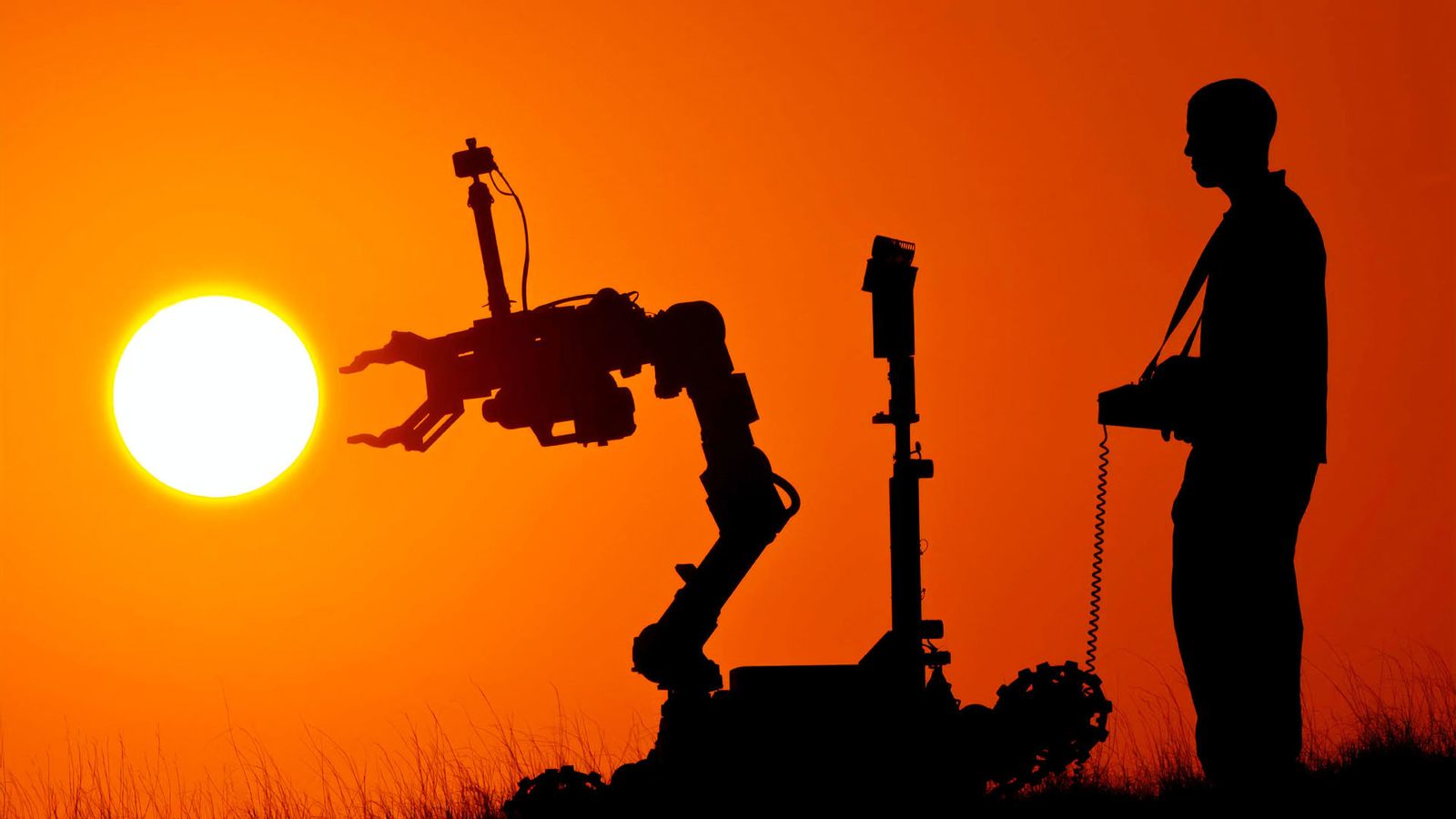 Innovación, digitalización y medio ambiente, los sectores con mayor futuro laboral