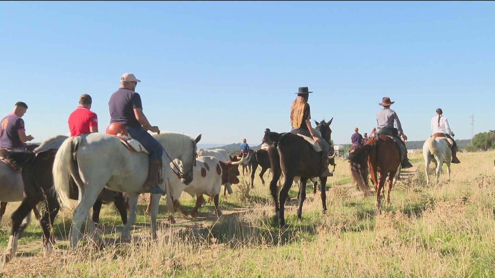 Trashumancia a caballo en Pedrezuela