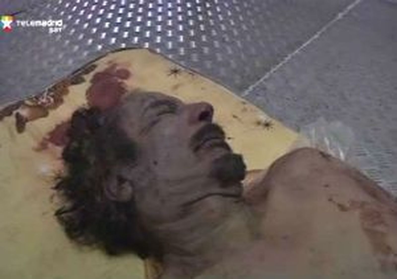 Gadafi murió por un disparo en la cabeza, según el forense