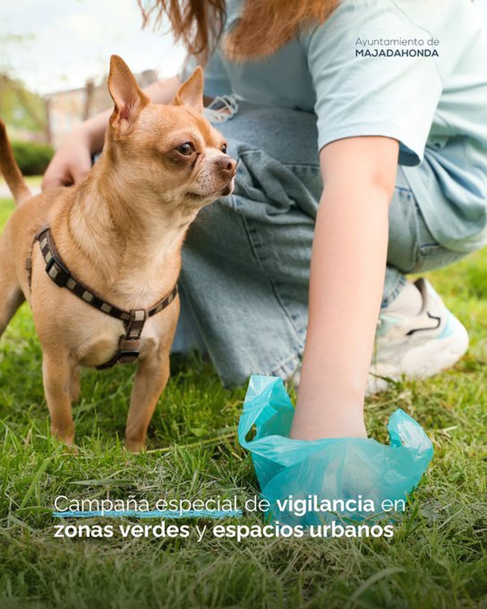 Una persona recoge las deposiciones de su perro