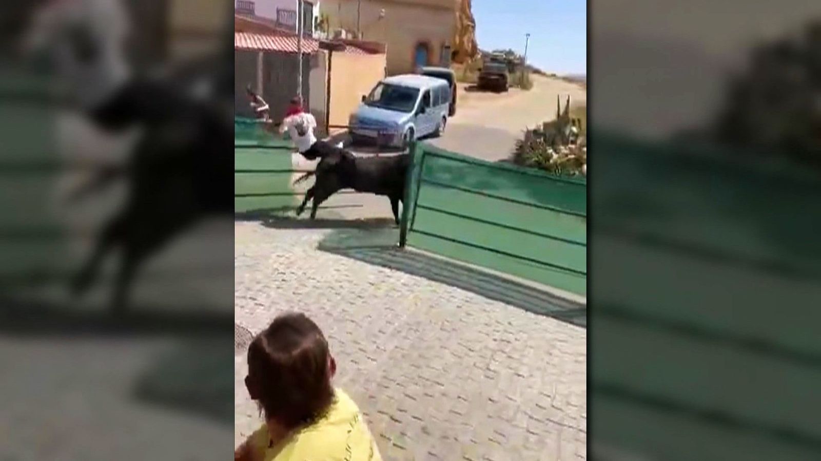 Tres toros se escapan de un encierro en Granada y la Guardia Civil los abate a tiros
