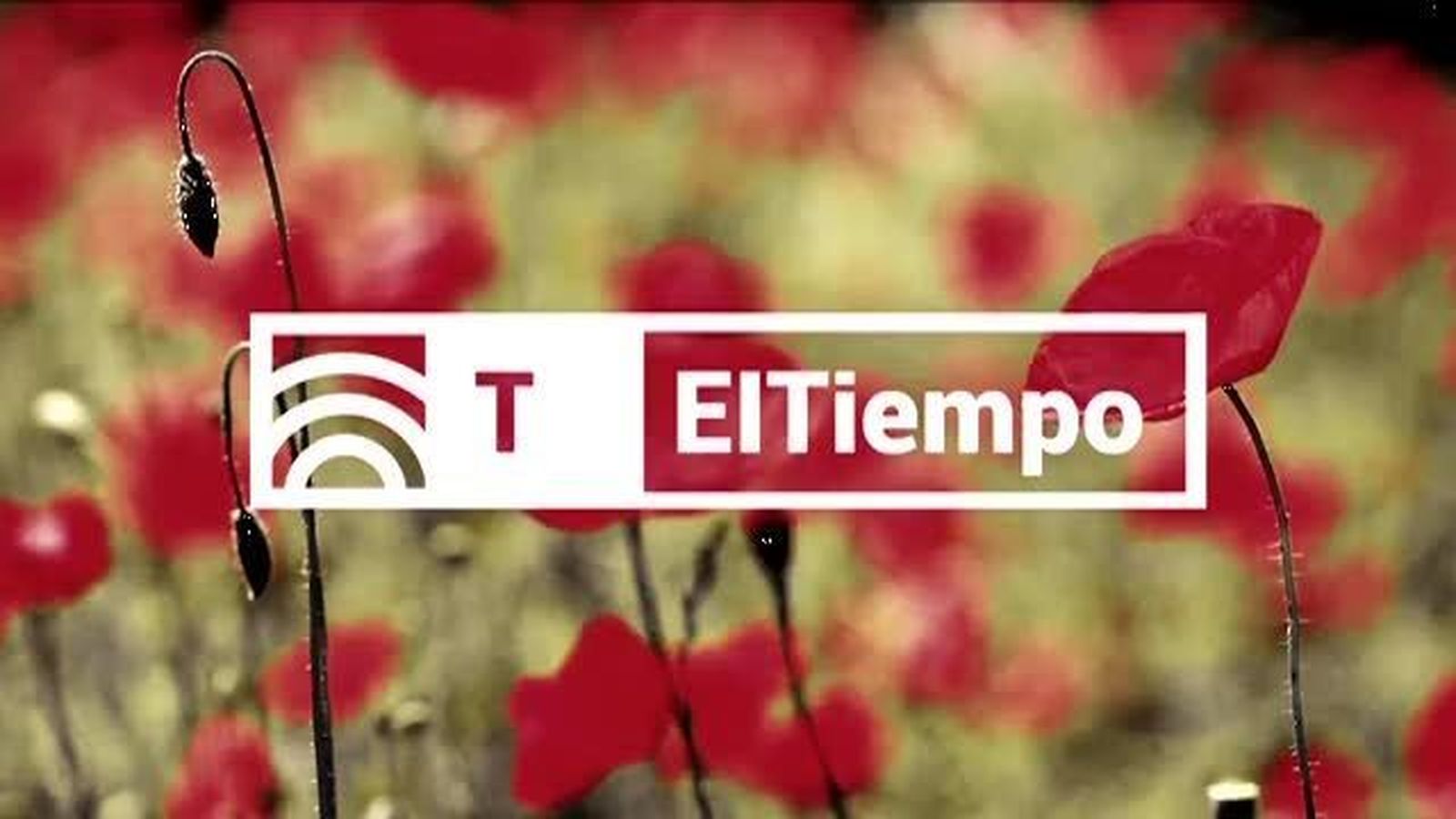 El Tiempo 2 15.11.2017