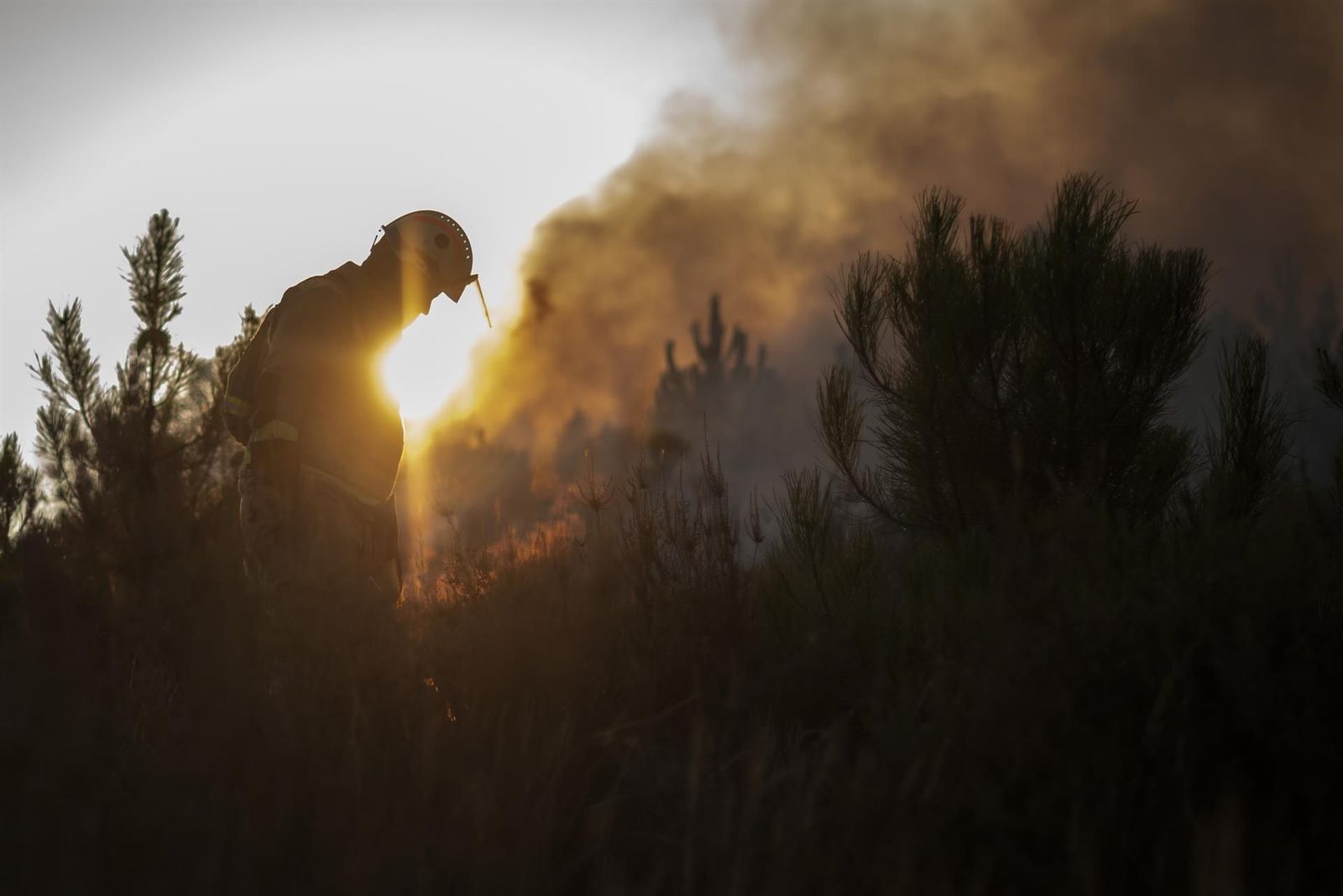Buscan al presunto pirómano del incendio que ha arrasado 600 hectáreas en Galicia
