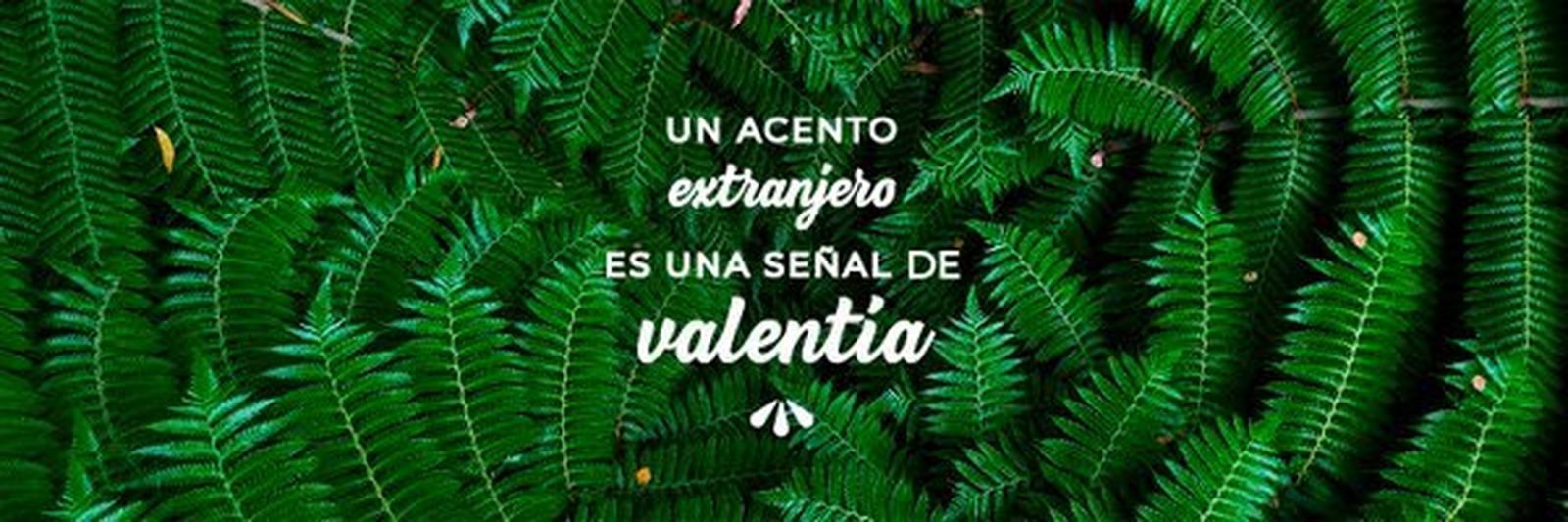 YouTOOproject, la empresa que nació de una página de Facebook