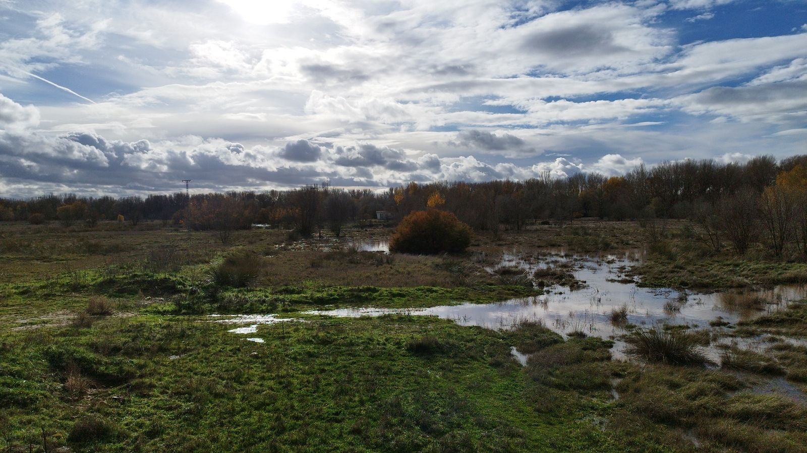 Imagen de la la laguna estacional de la llanura aluvial de Lagunas de Belvis