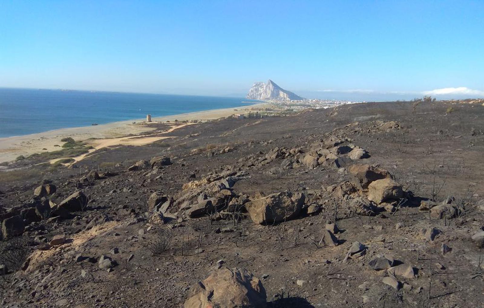 Área calcinada en el incendio de La Línea, en Cádiz, próxima a la costa