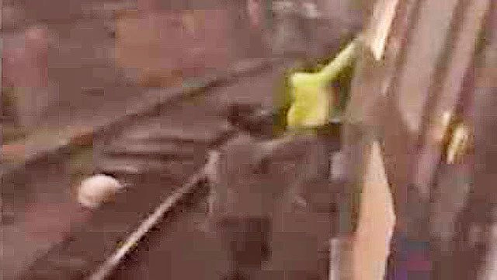 Paran la línea 6 del Metro para hacer un grafitti