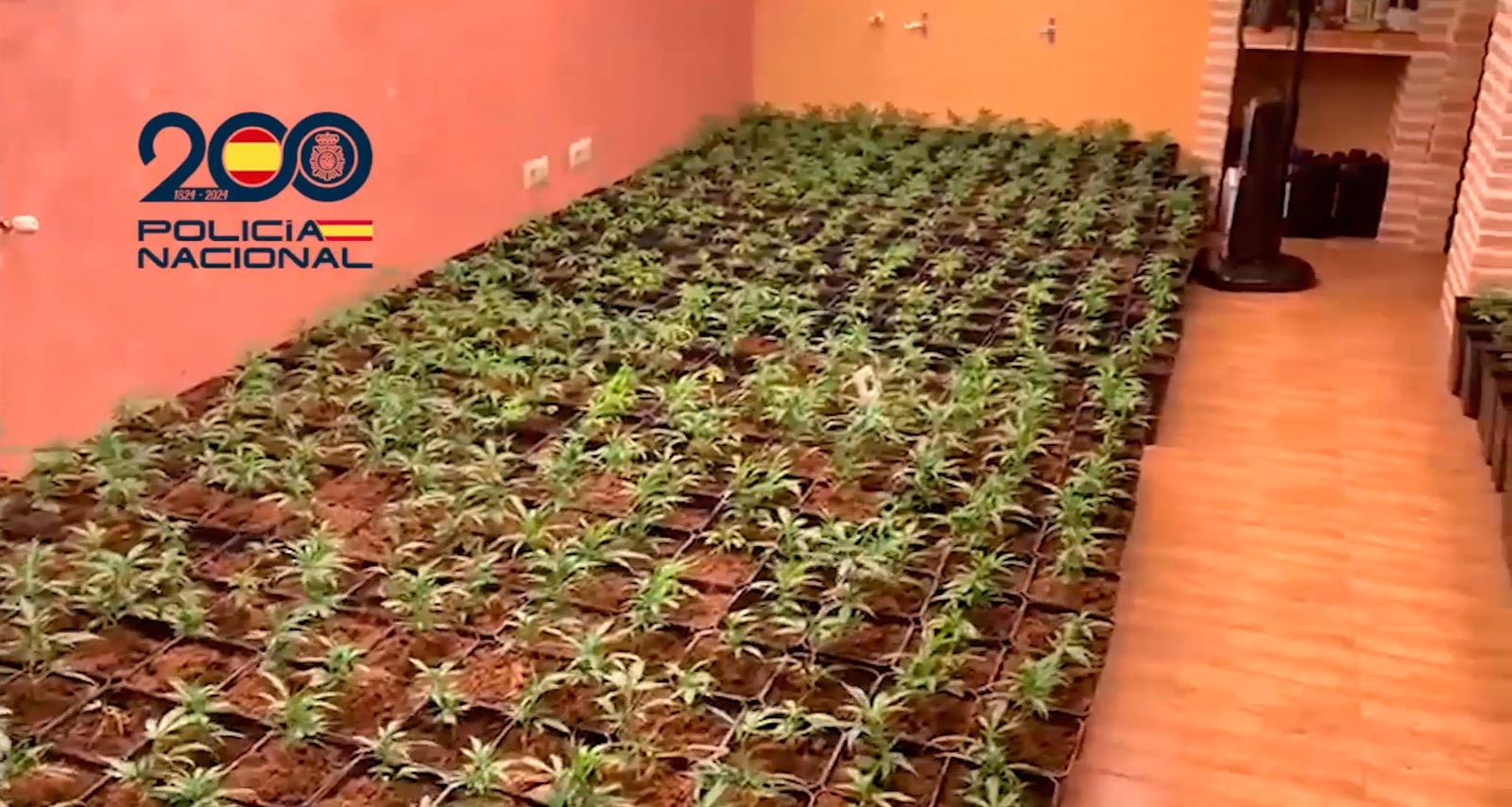 Liberadas tres víctimas de trata explotadas en dos plantaciones de marihuana en Colmenar de Oreja y Chiloeches