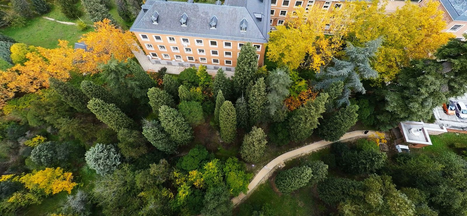Arboreto de la Escuela de Ingenieros de Montes de Madrid