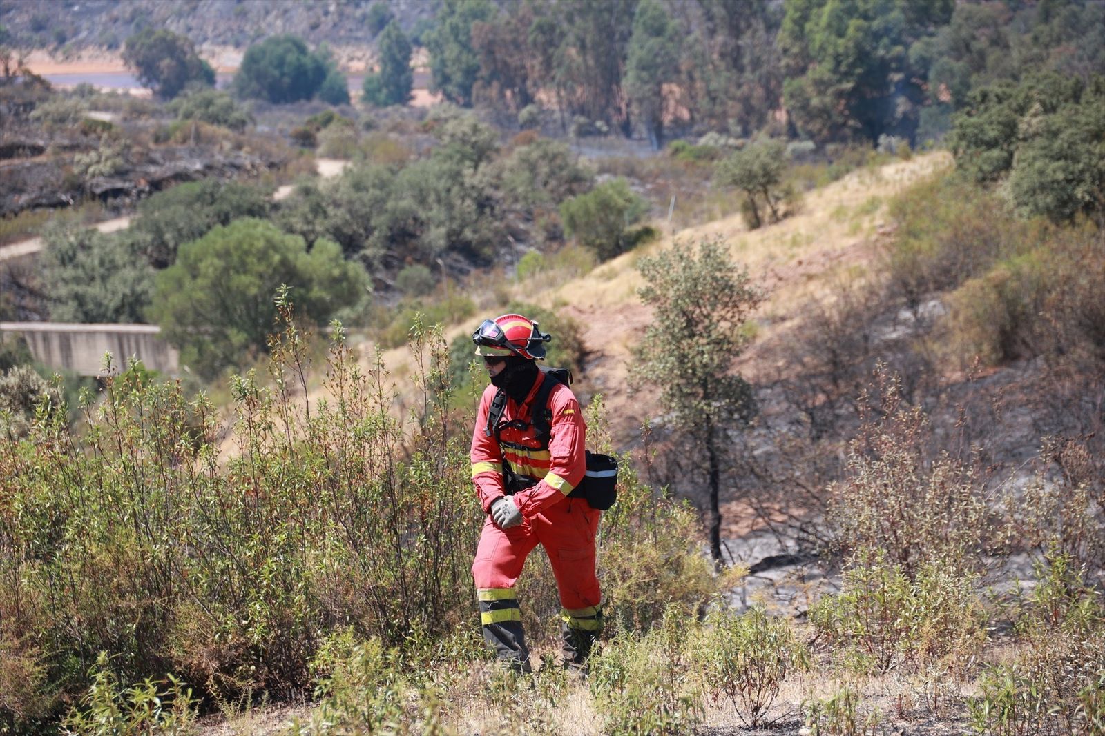 Bombero forestal