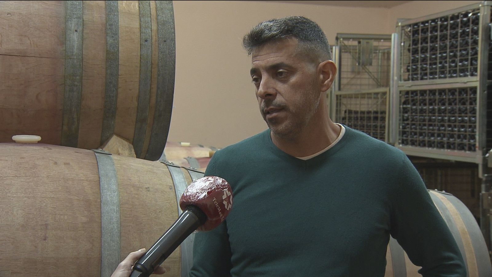 Las bodegas de San Martín de Valdeiglesias apuestan también por el enoturismo