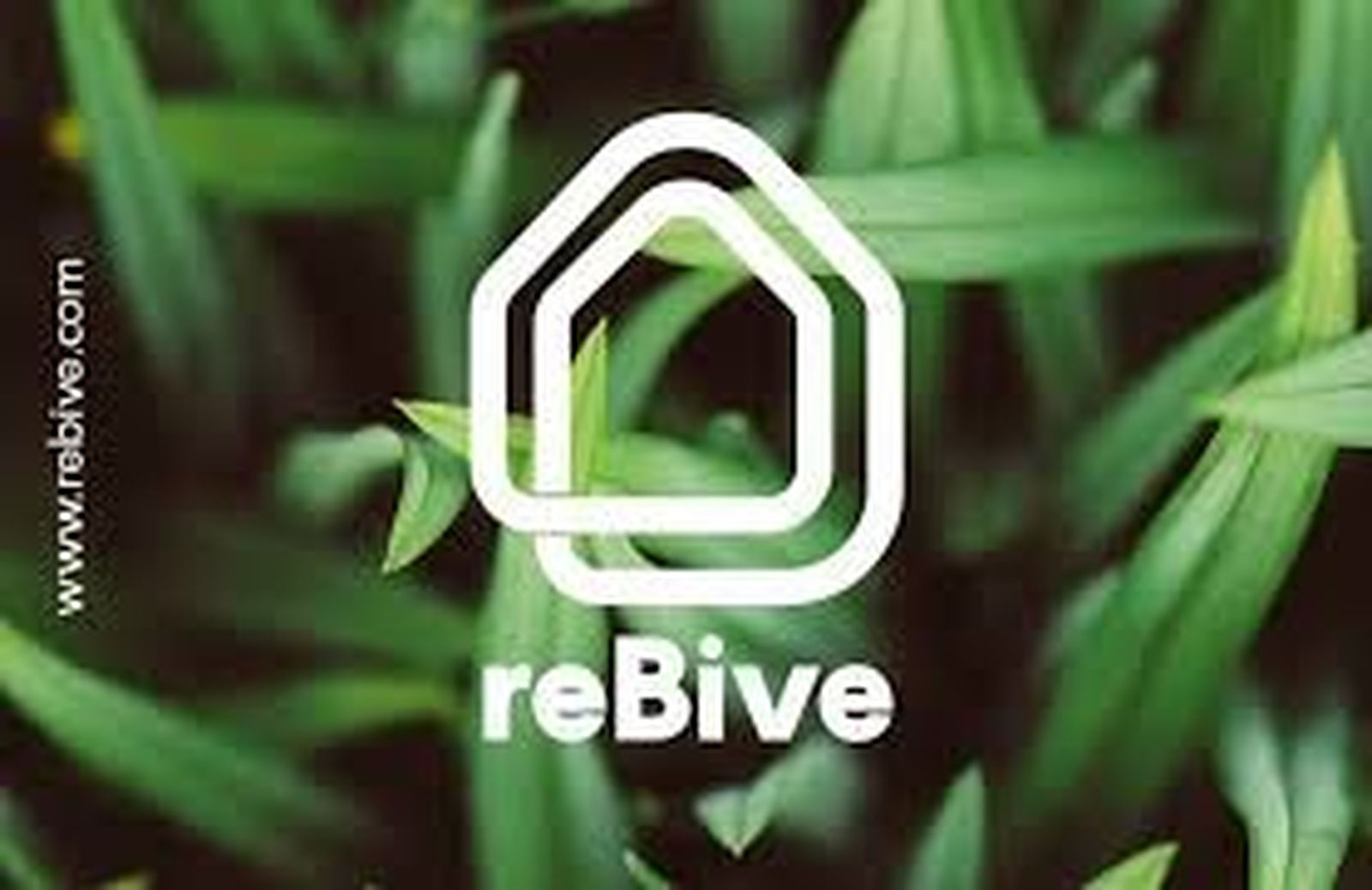 ReBive, la cooperativa que apuesta por el urbanismo ecológico