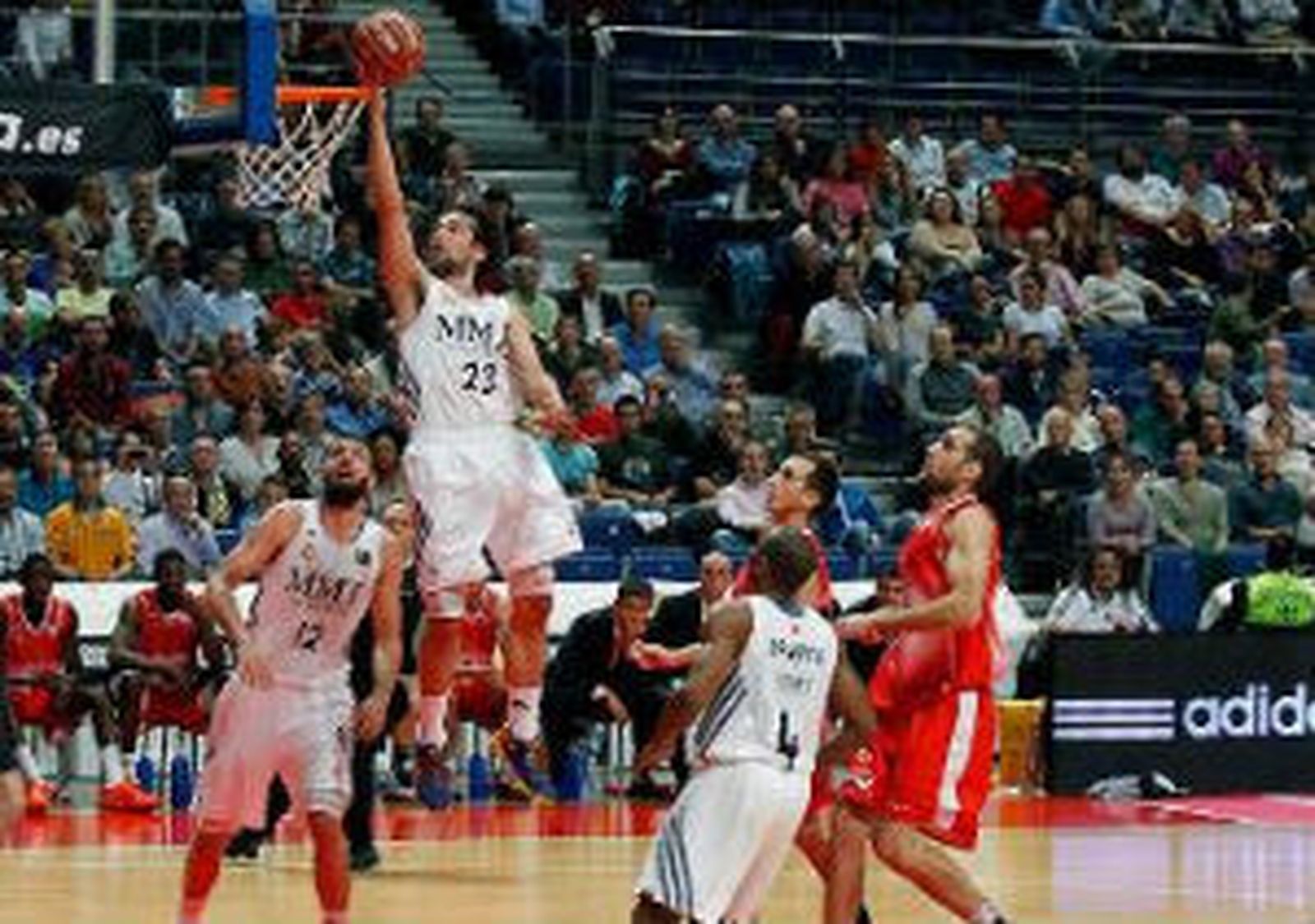 Sergio Llull