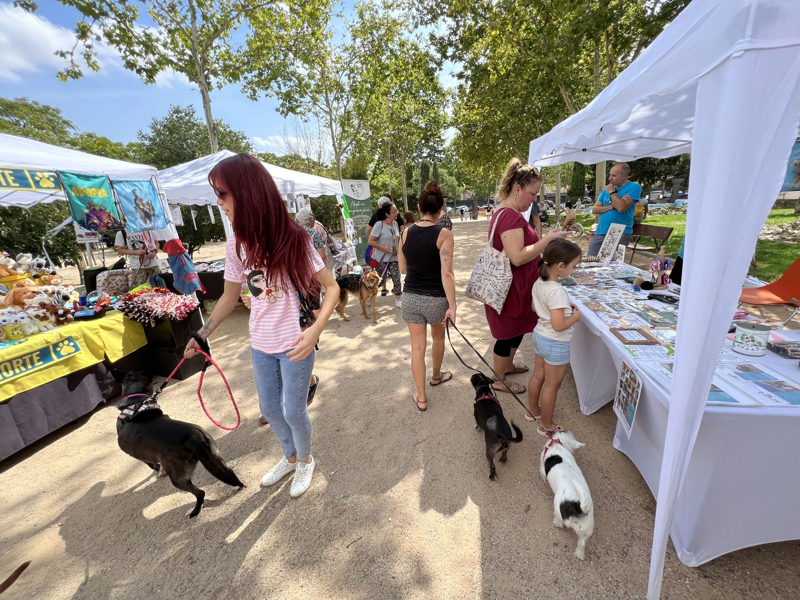 Carpas en una campaña de adopción responsable de mascotas, en Fuenlabrada