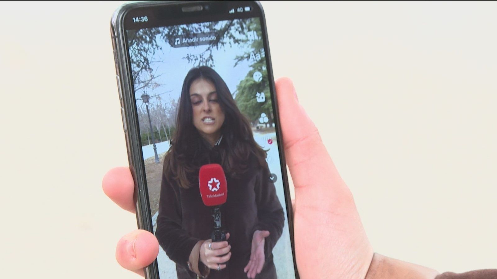 TikTok causa furor entre los jóvenes