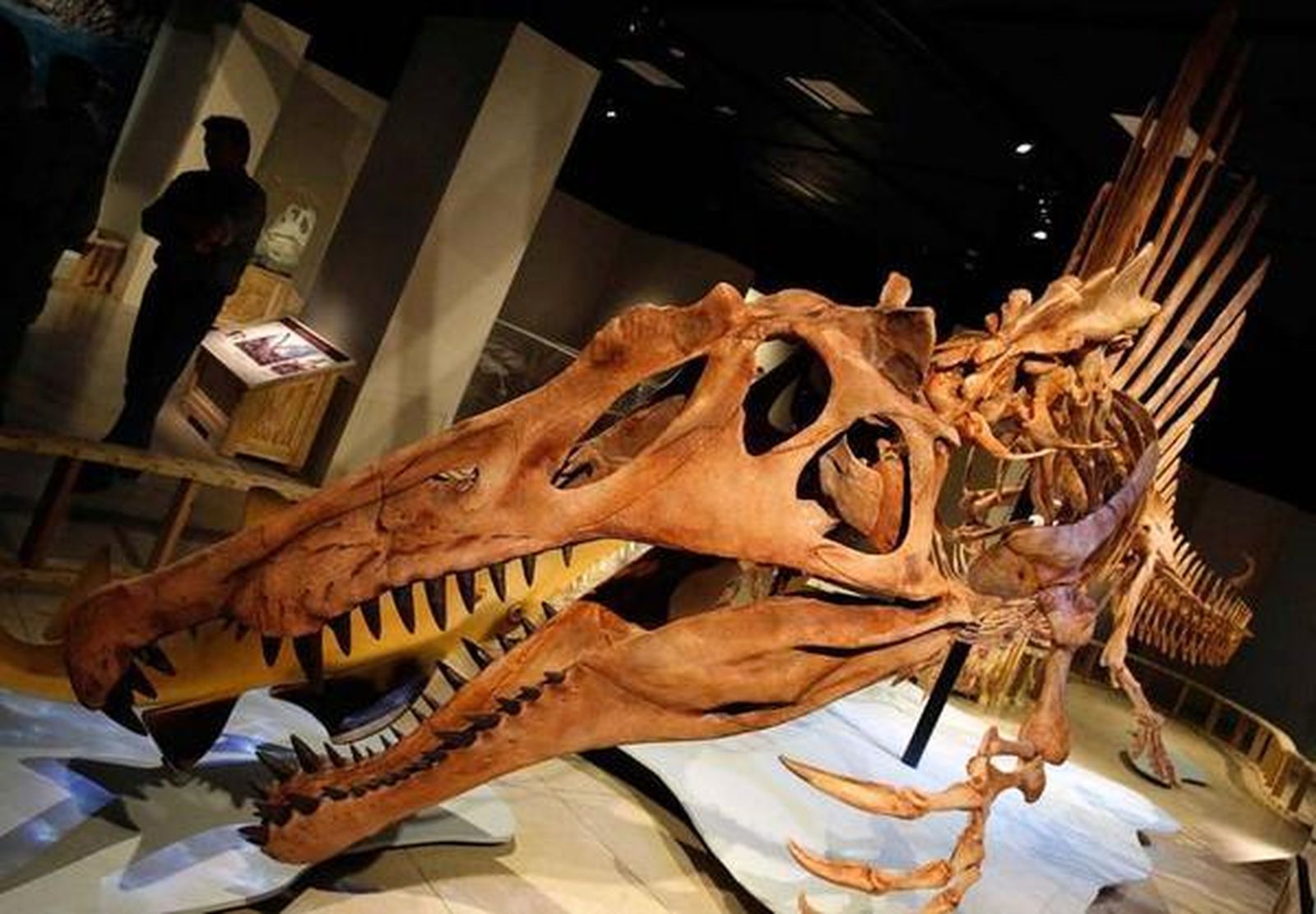 DINOSAURIO75896