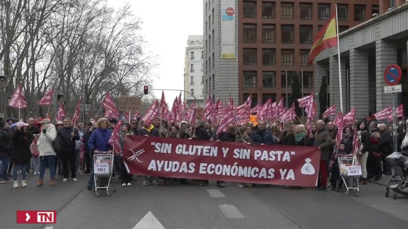 La celiaquía llega al Congreso de los Diputados