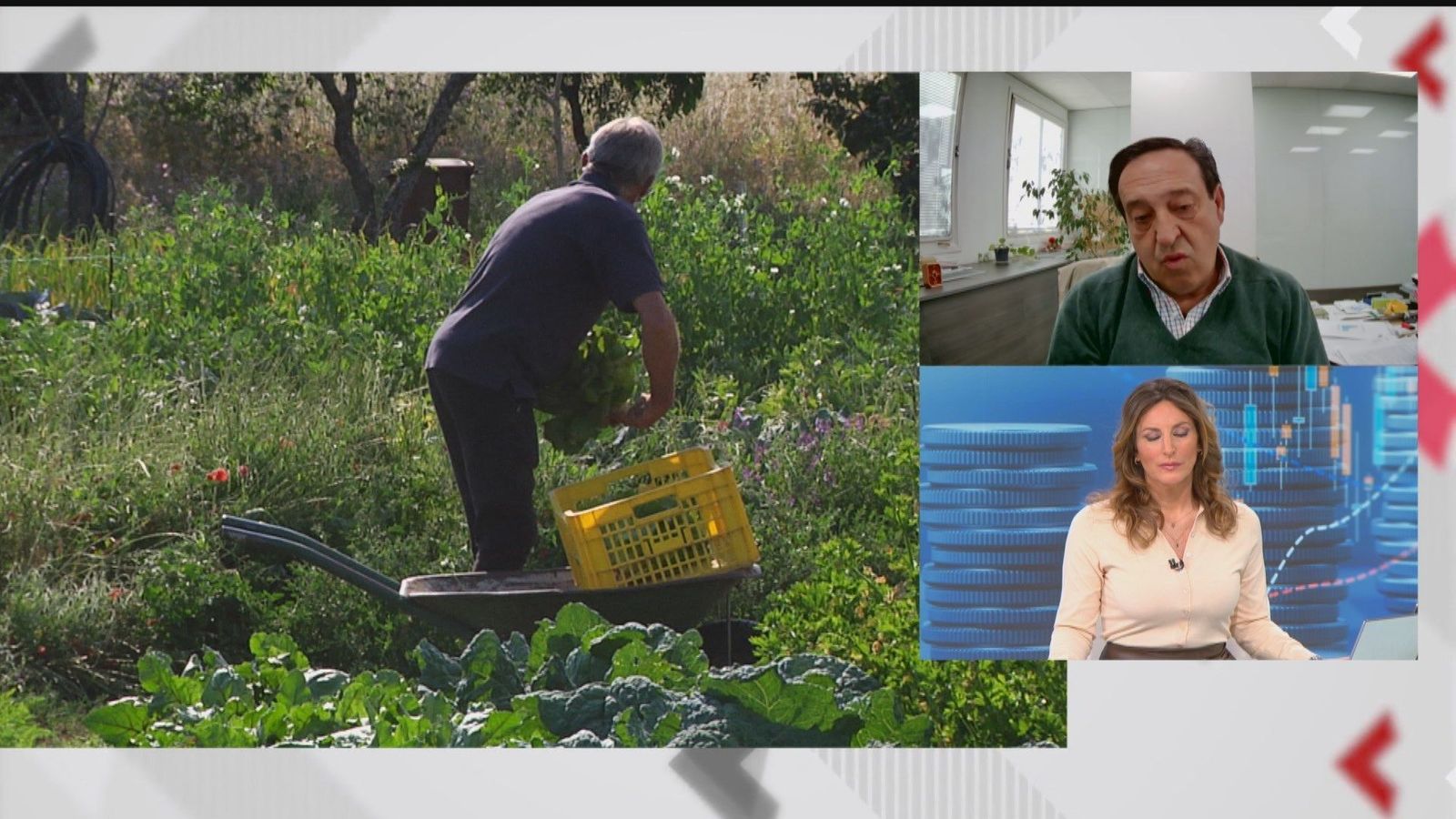 Los agricultores advierten de las consecuencias de subir el SMI, "habrá que pensar más en máquinas y no en personas"
