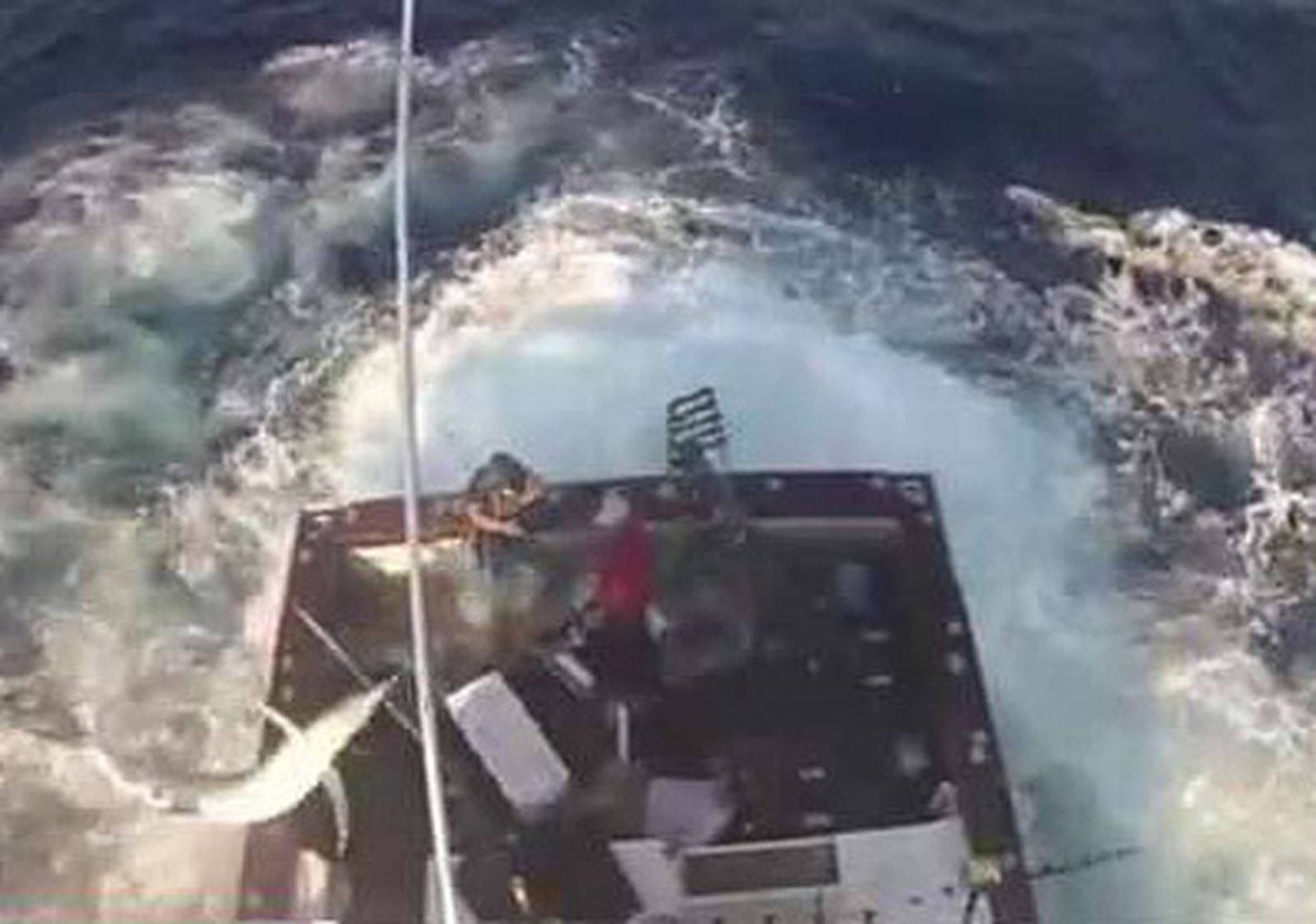 marlin_barco