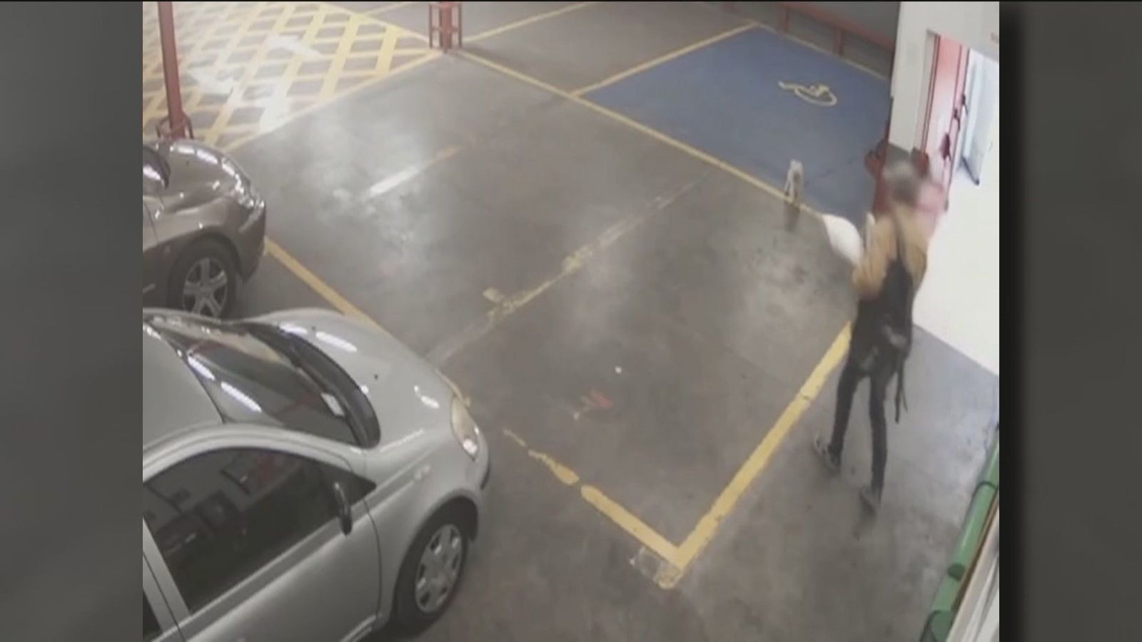 Sucesos Madrid: roba un perro en un supermercado mientras su dueña hacía la compra