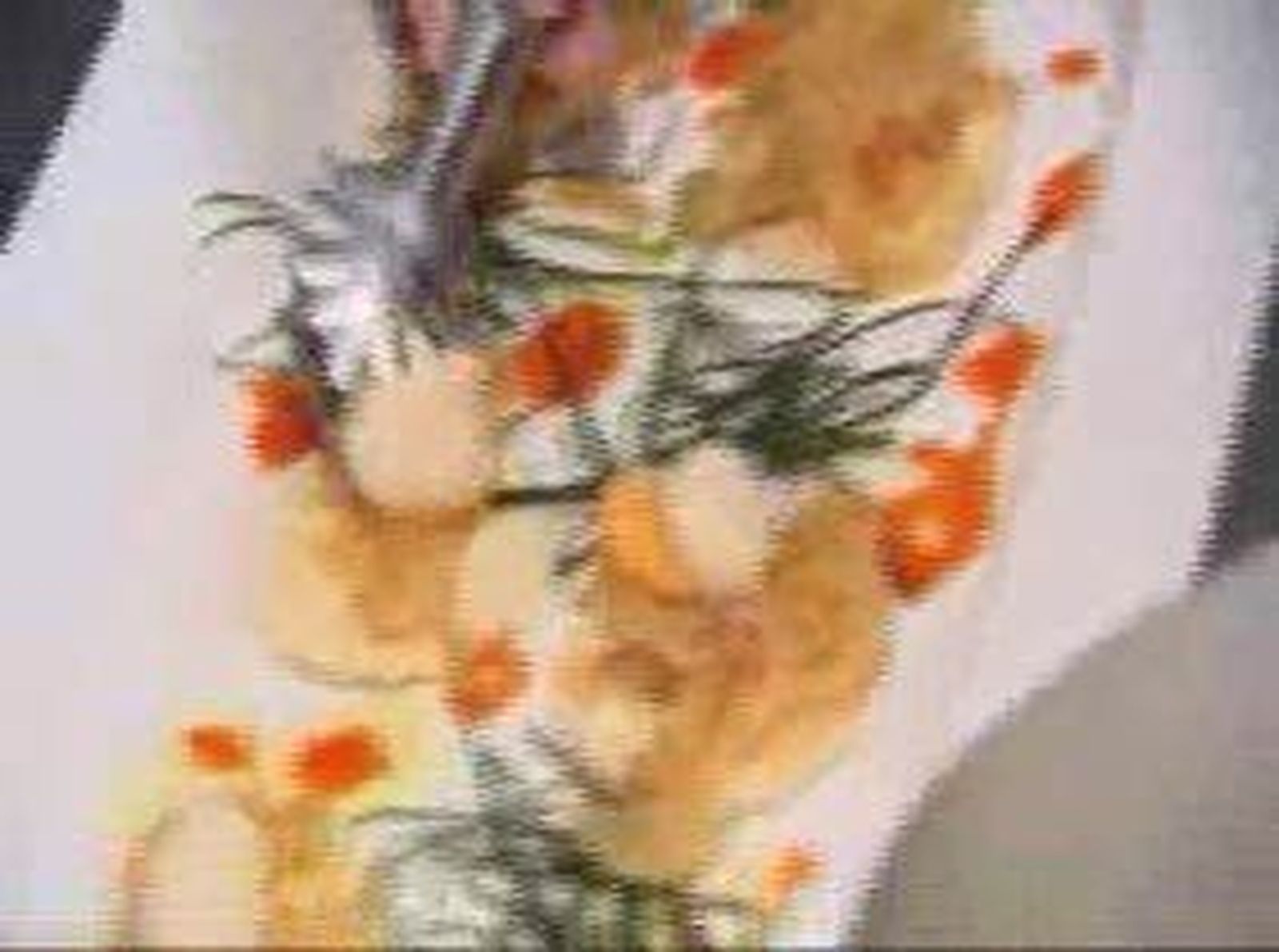 Tapas_20101016V0.wmv