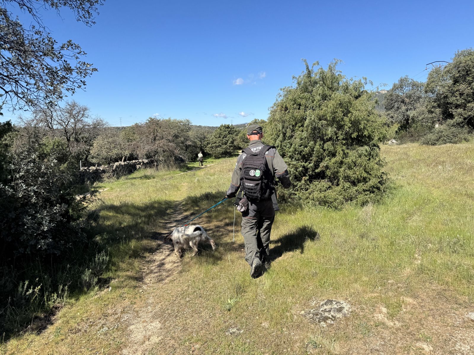 Un guía de los Agentes Forestales de Madrid busca cebos envenenados con ayuda de su perro