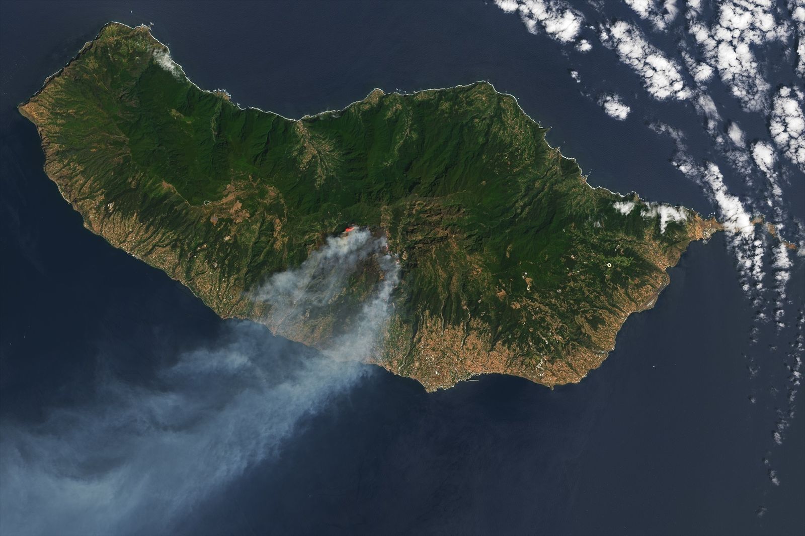 Incendios de Madeira vistos desde el espacio