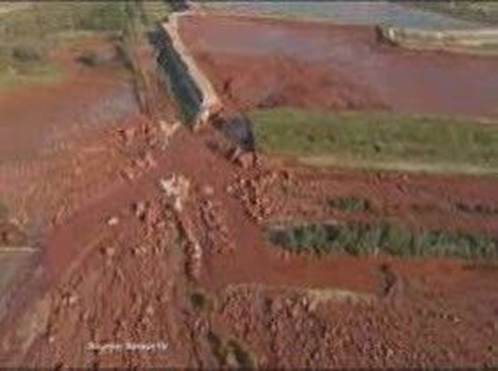 74hungria_2010108V0.wmv