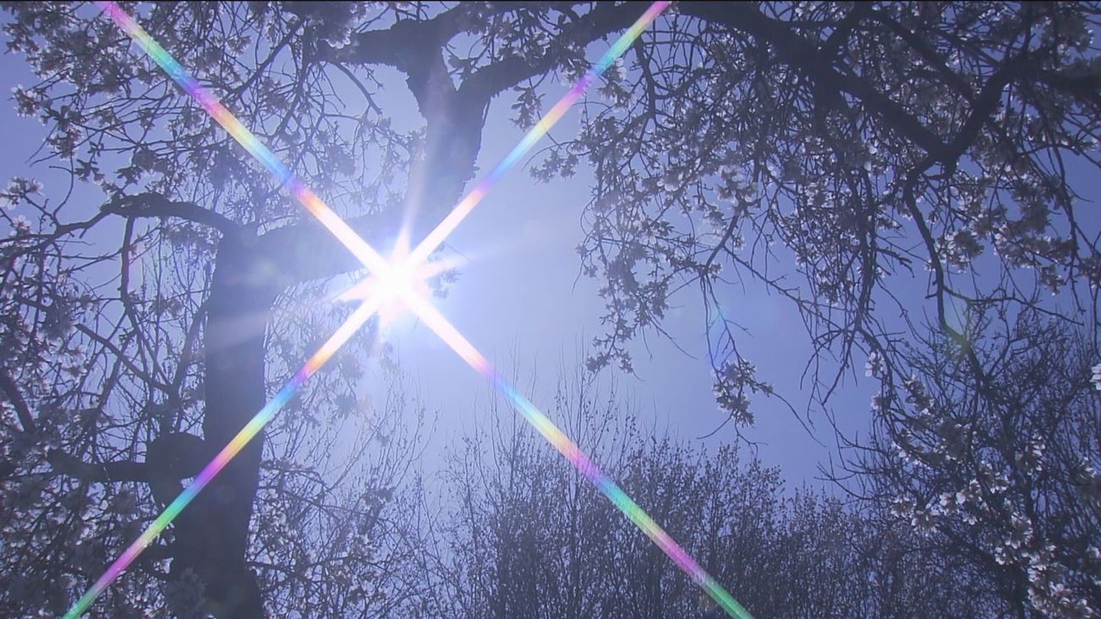 Tiempo primaveral en Madrid
