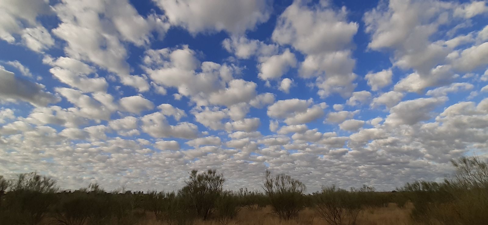 Cielo nuboso