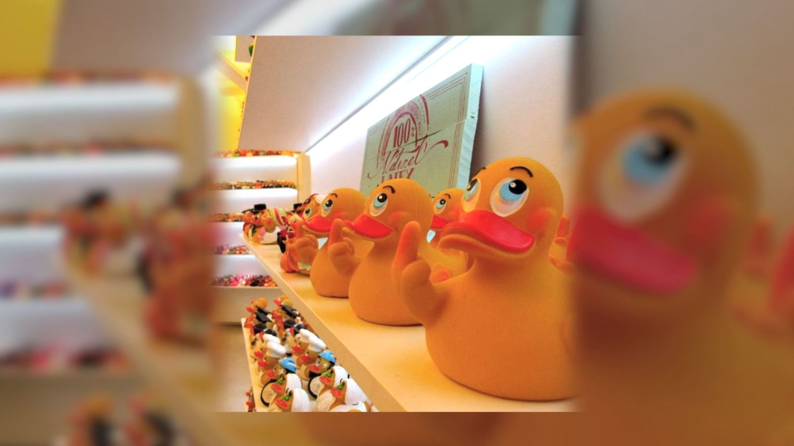 Una curiosa tienda que solo vende patitos de goma en la Plaza Mayor