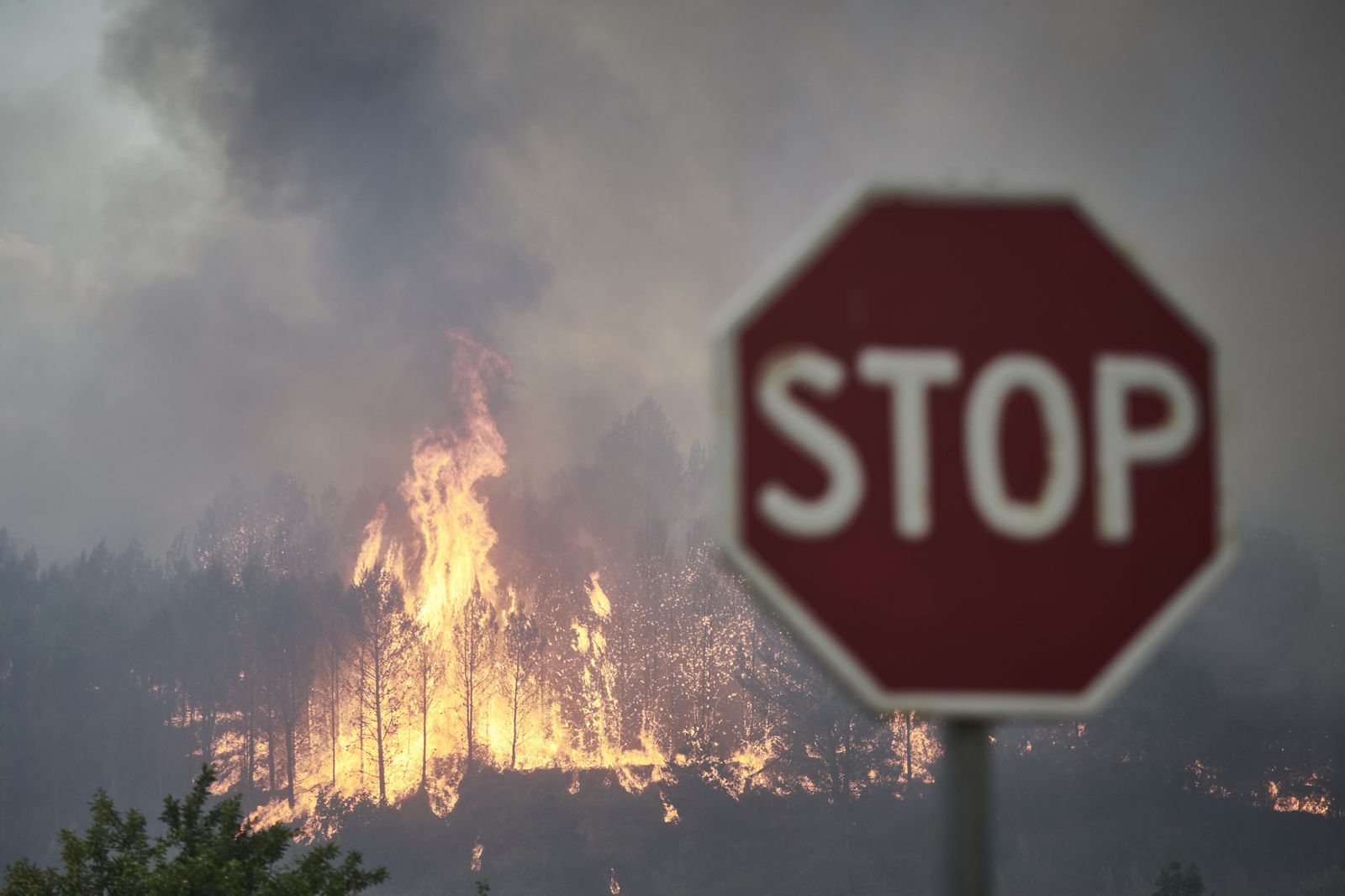 Una señal de Stop con un incendio forestal detrás