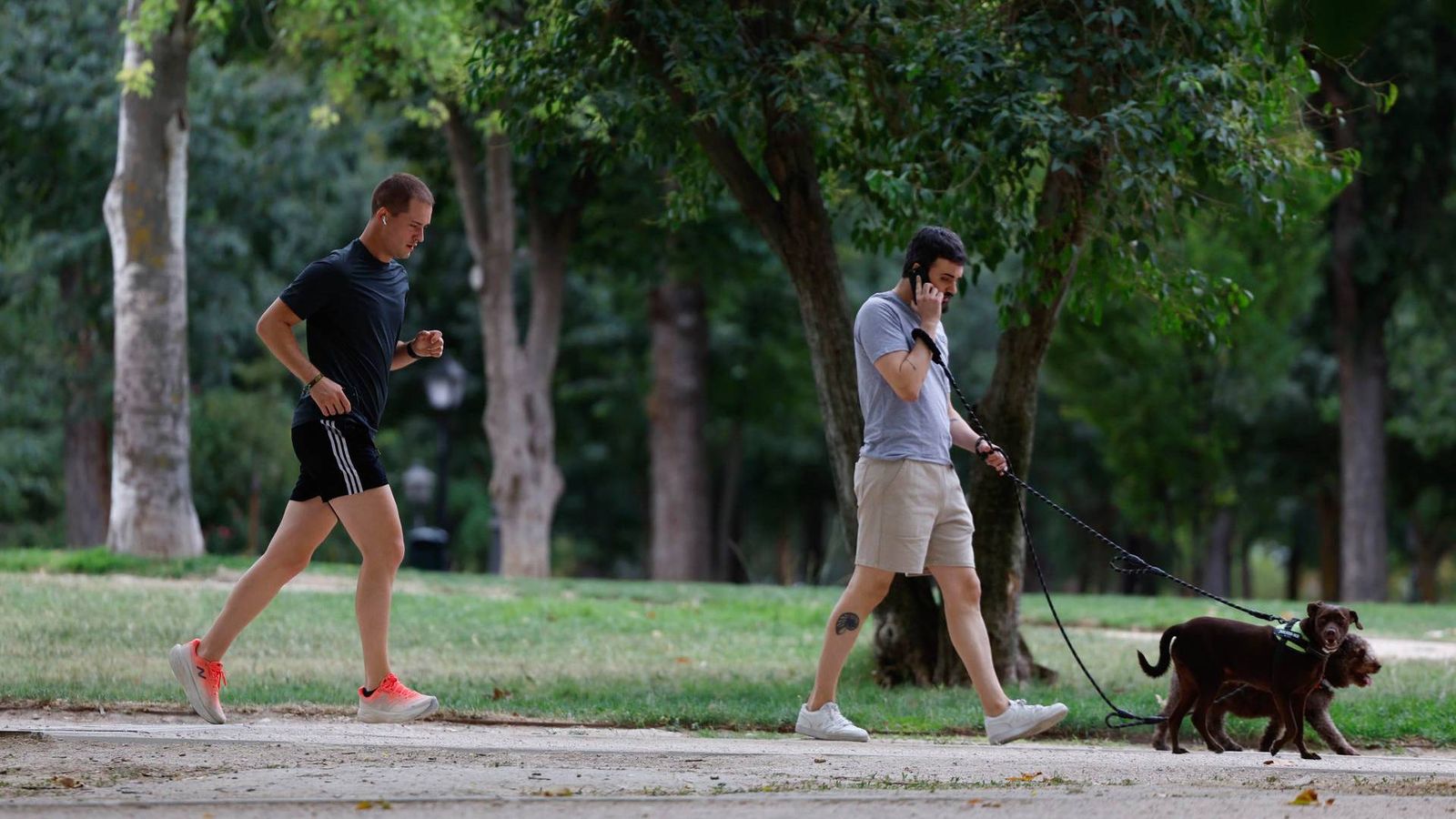 Varias personas en el parque Emperatriz Maria de Austria, en Madrid