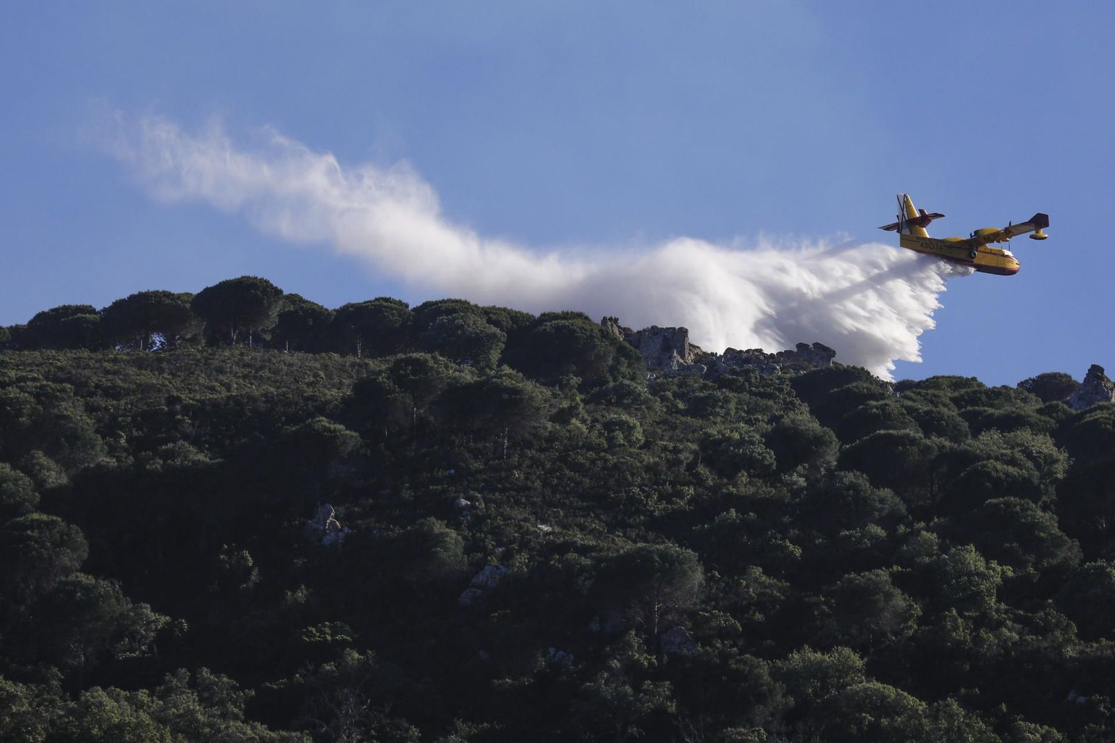 Investigan a cuatro personas en relación al incendio que ha arrasado 600 hectáreas de Tarifa
