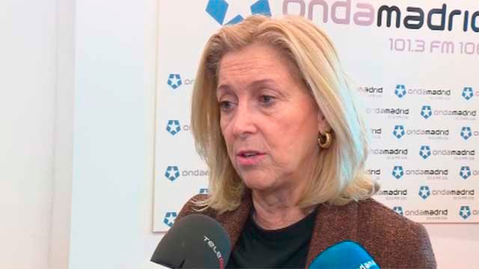 La delegada del Gobierno, Concepción Dancausa