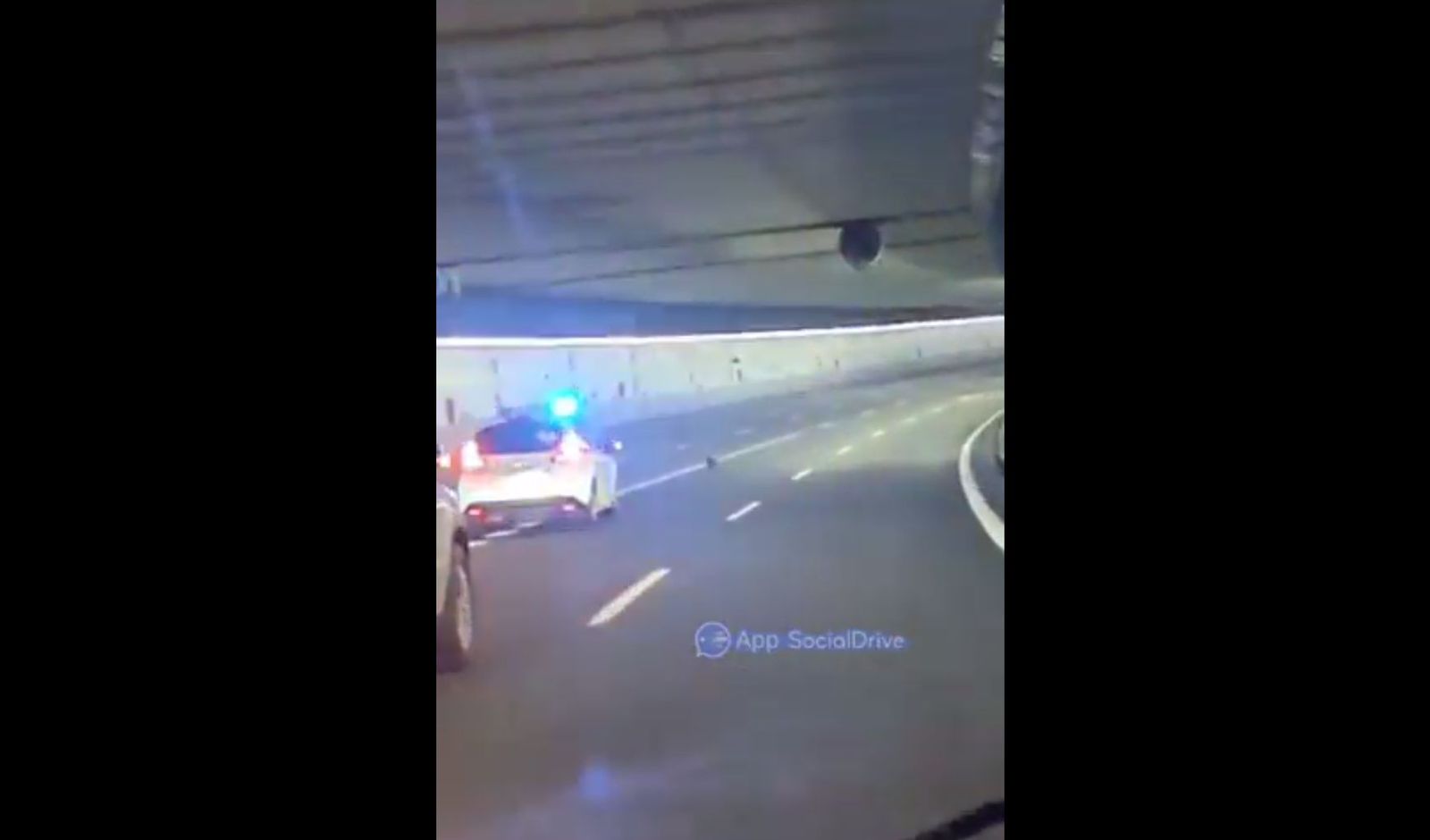 La Policía Municipal protege separa al perro de los conductores en un túnel de la M-30