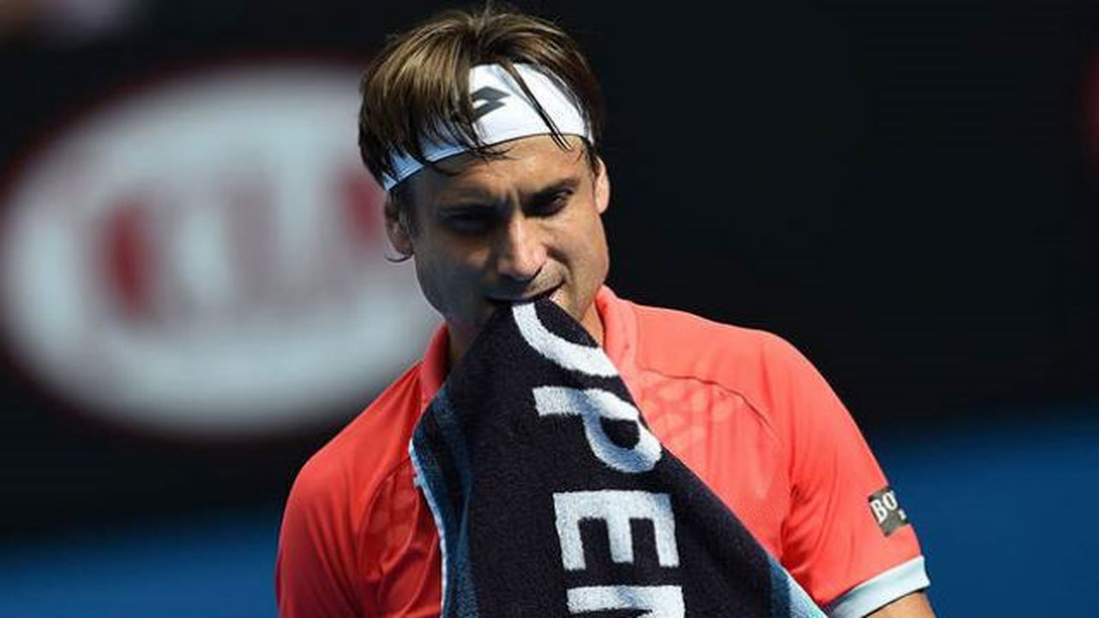 David Ferrer