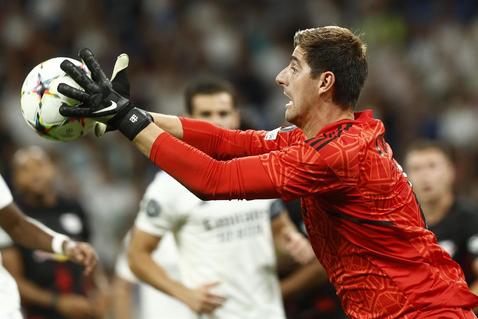 Courtois