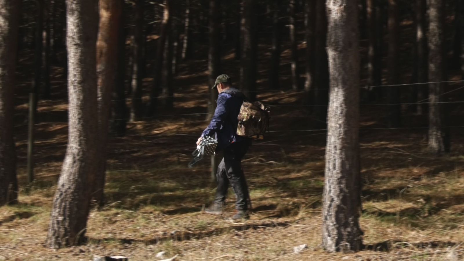 Multas de hasta 10.000 euros por recoger setas sin licencia en la Sierra de Guadarrama