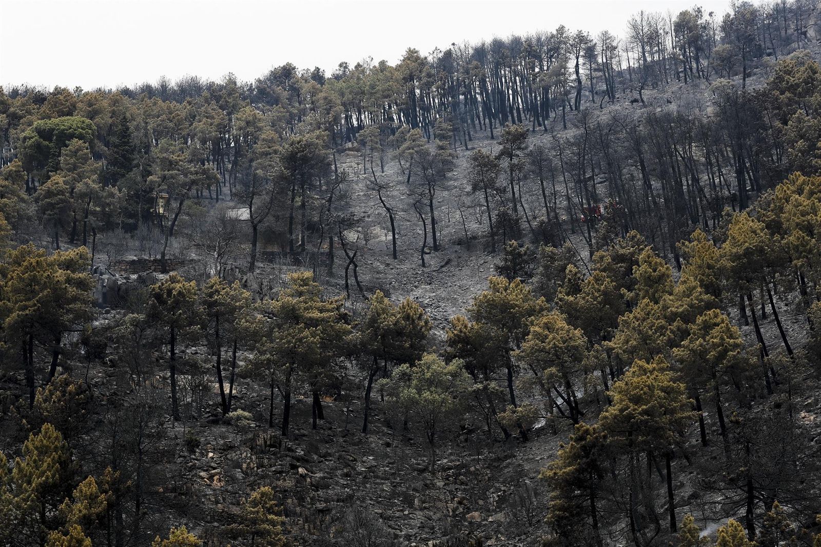 Vista general del monte en Collado Mediano, cuyo incendio forestal se encuentra estabilizado