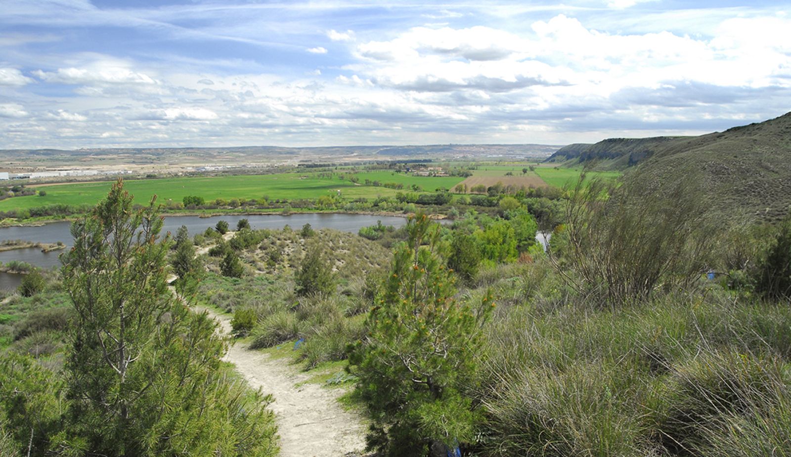Entorno de Rivas en el Parque Regional del Sureste