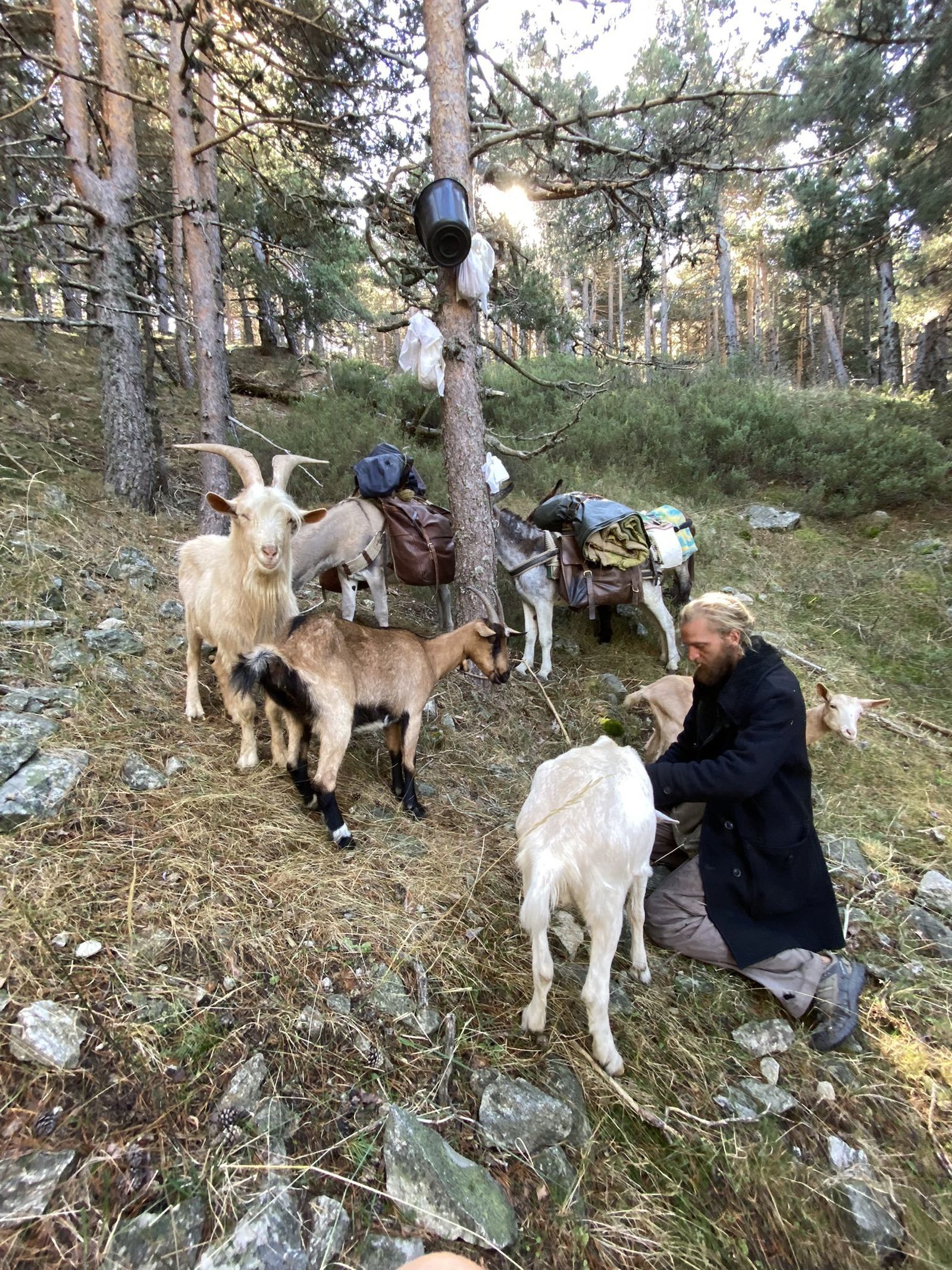 Pierre, el peregrino, junto a sus animales en  la Sierra de Guadarrama