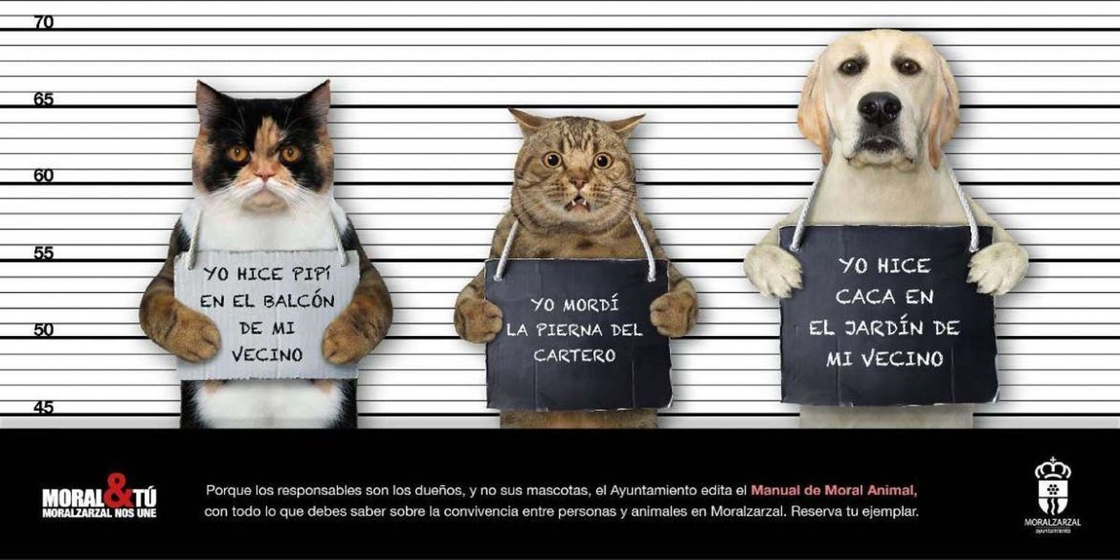 Moralzarzal edita un ‘Manual de moral animal’ con los derechos y deberes de las mascotas