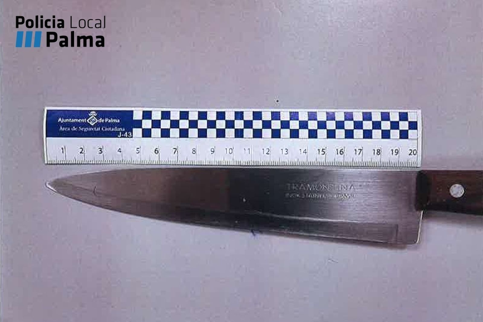Cuchillo intervenido al detenido por amenazar a sus inquilinos en Son Gotleu