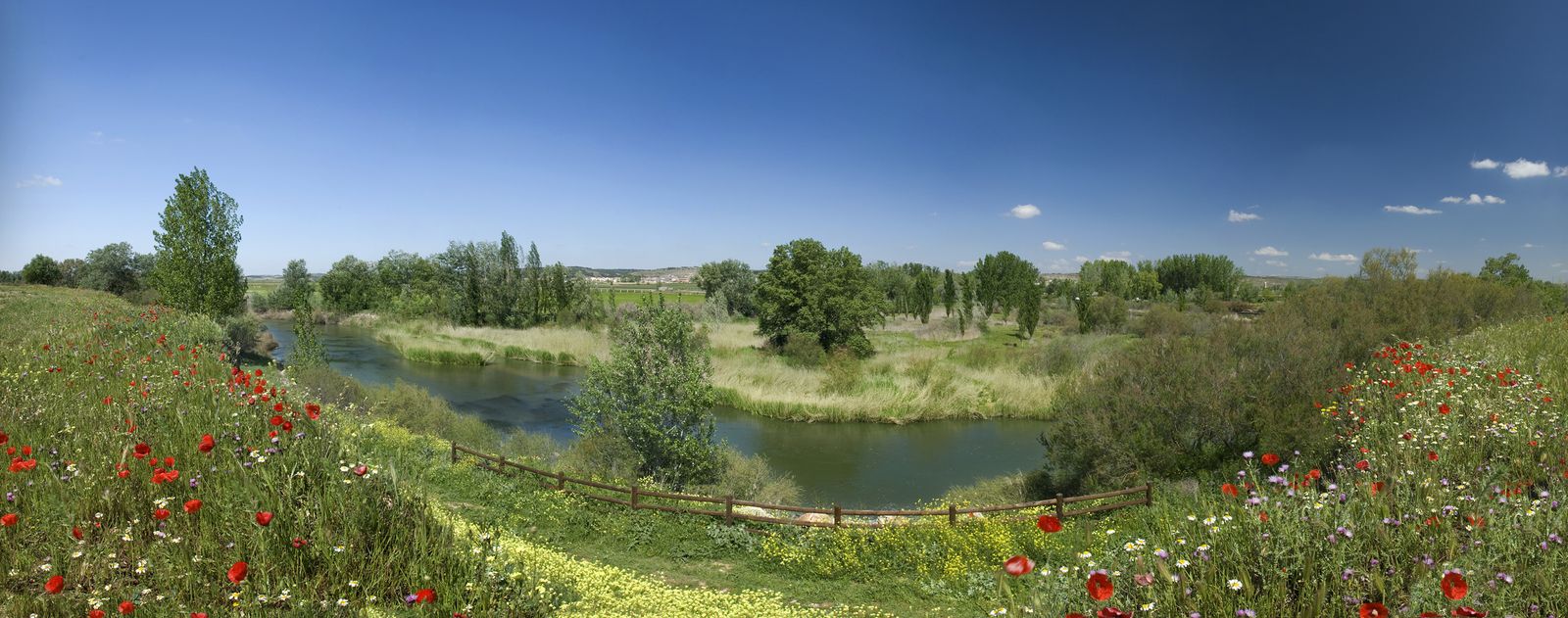 El río Jarama a su paso por la Comarca de Las Vegas y Alcarria Madrileña