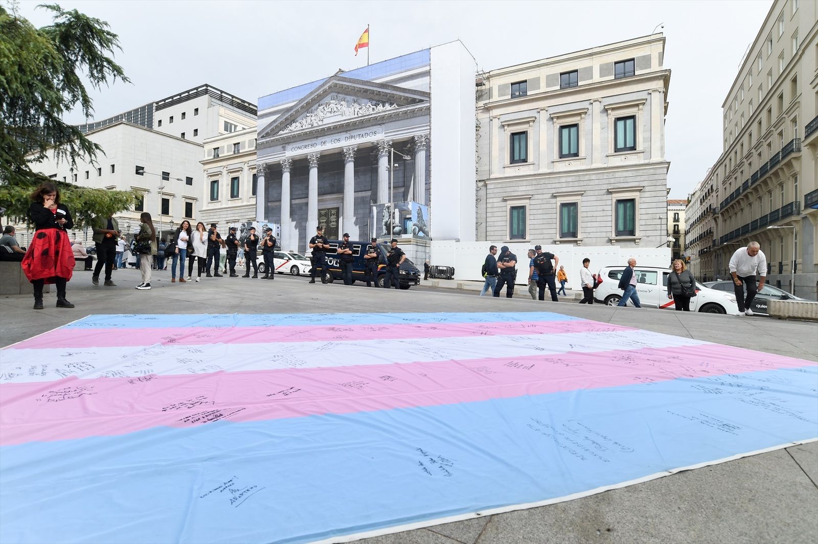 Bandera trans a las puertas del Congreso