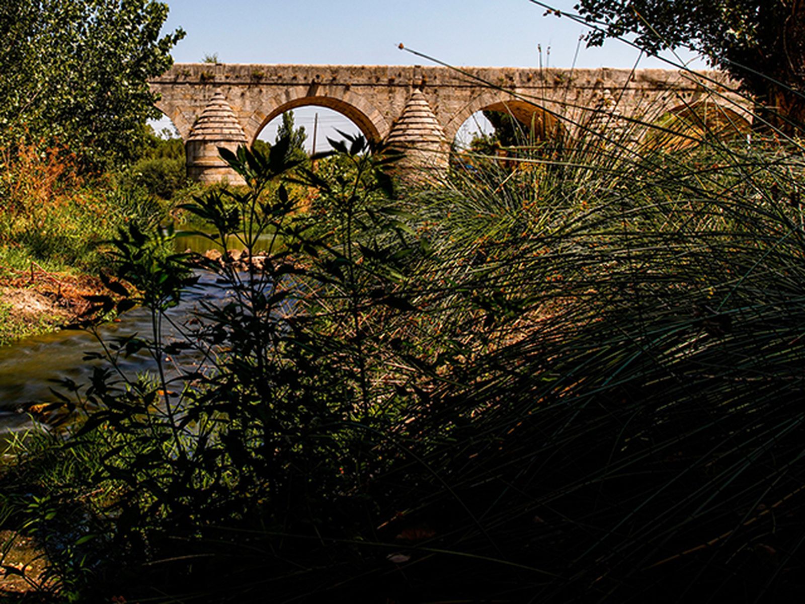 Paraje del Camino Viejo de Las Matas, en Las Rozas