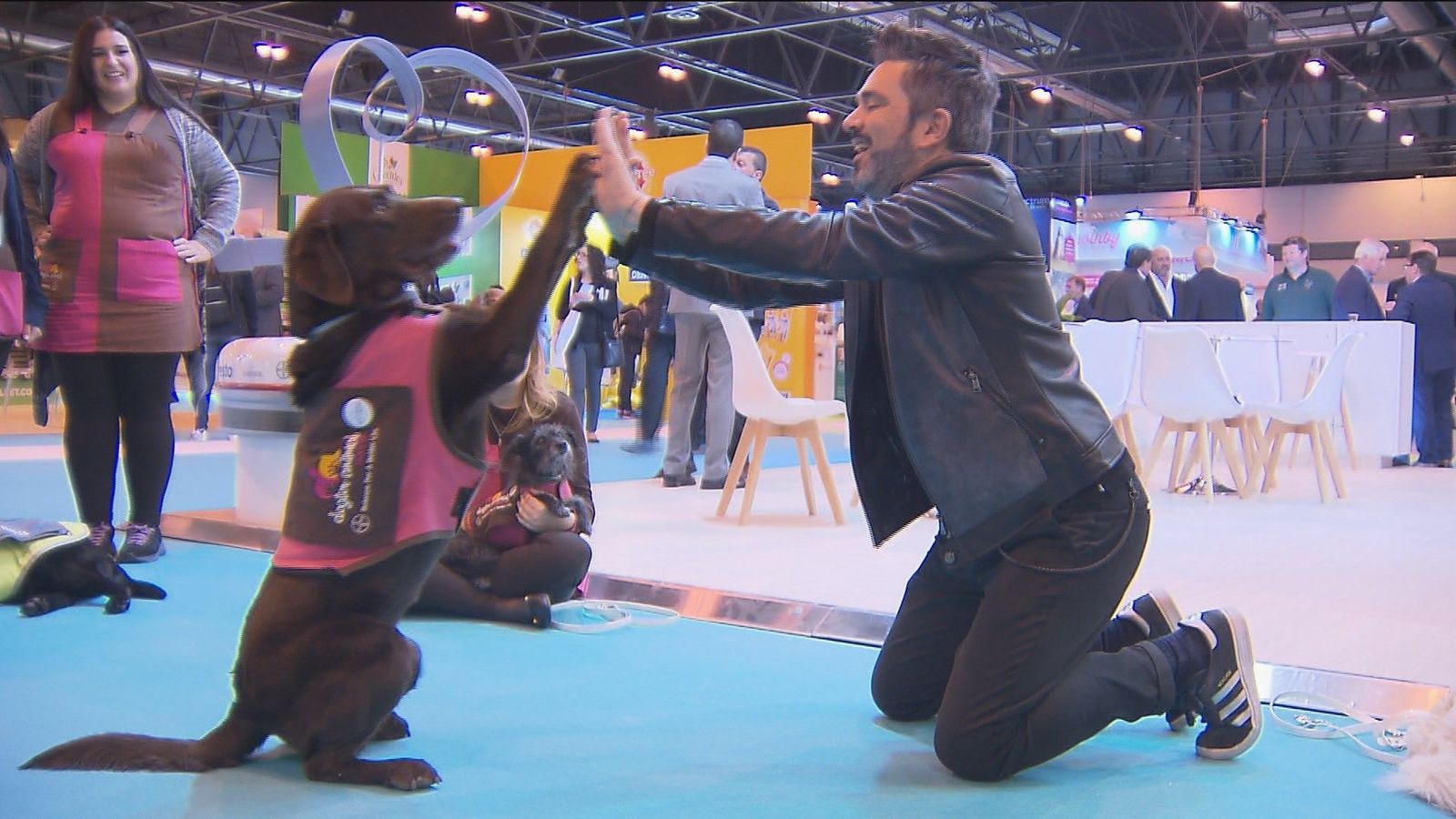 Helados para perros, cerveza y cosmética vegana, entre las novedades de la feria de mascotas